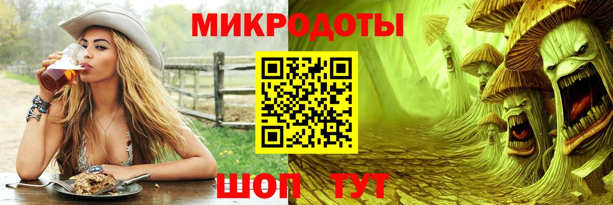 магазин    Галлюциногенные грибы Magic Shrooms  Вход с VPN  Ставрополь 