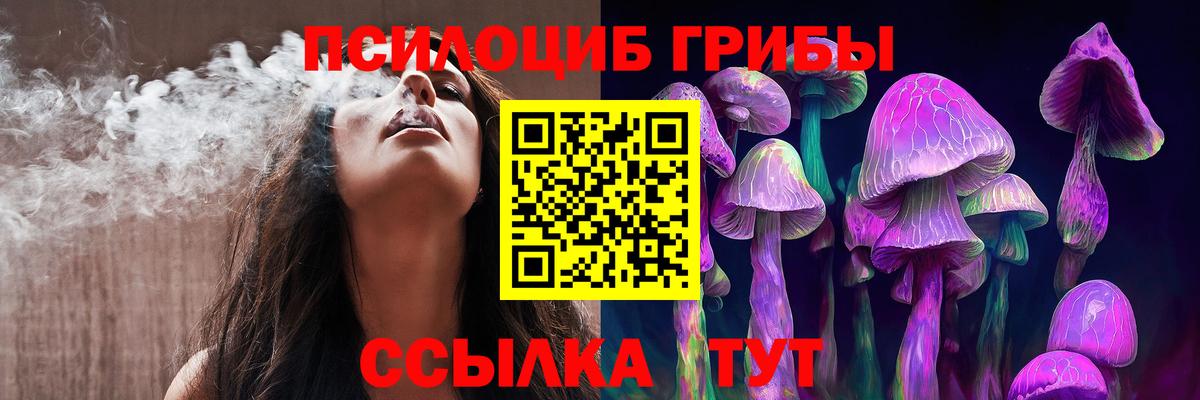 Псилоцибиновые грибы мицелий Ставрополь